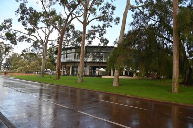 Perth, Avustralya 4 Haziran 2025: Perth CBD 'nin Krallar Parkı