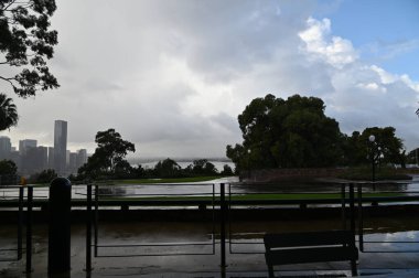 Perth, Avustralya 4 Haziran 2025: Perth CBD 'nin Krallar Parkı