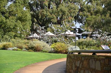 Perth, Avustralya 4 Haziran 2025: Perth CBD 'nin Krallar Parkı