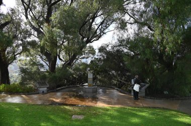 Perth, Avustralya 4 Haziran 2025: Perth CBD 'nin Krallar Parkı