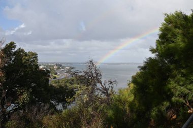 Perth, Avustralya 4 Haziran 2025: Perth CBD 'nin Krallar Parkı