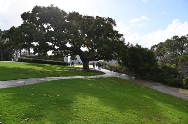 Perth, Avustralya 4 Haziran 2025: Perth CBD 'nin Krallar Parkı