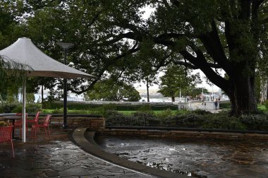 Perth, Avustralya 4 Haziran 2025: Perth CBD 'nin Krallar Parkı