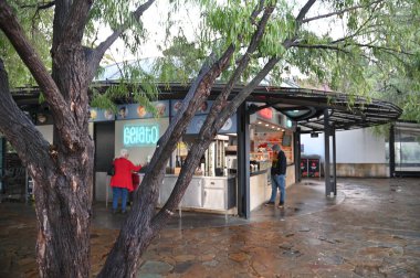 Perth, Avustralya 4 Haziran 2025: Perth CBD 'nin Krallar Parkı