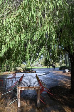 Perth, Avustralya 4 Haziran 2025: Perth CBD 'nin Krallar Parkı