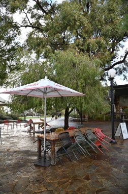 Perth, Avustralya 4 Haziran 2025: Perth CBD 'nin Krallar Parkı