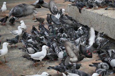 Perth, Avustralya 30 Mayıs 2025: Perth CBD sokakları