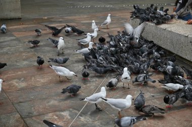 Perth, Avustralya 30 Mayıs 2025: Perth CBD sokakları