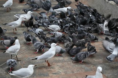 Perth, Avustralya 30 Mayıs 2025: Perth CBD sokakları