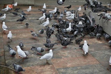 Perth, Avustralya 30 Mayıs 2025: Perth CBD sokakları