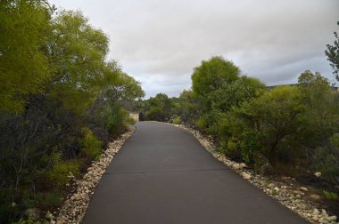 Nambung, Avustralya 2 Haziran 2025: Batı Avustralya 'nın Pinnacles Çölü
