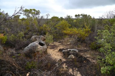 Nambung, Avustralya 2 Haziran 2025: Batı Avustralya 'nın Pinnacles Çölü