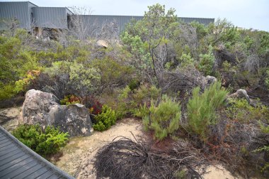 Nambung, Avustralya 2 Haziran 2025: Batı Avustralya 'nın Pinnacles Çölü