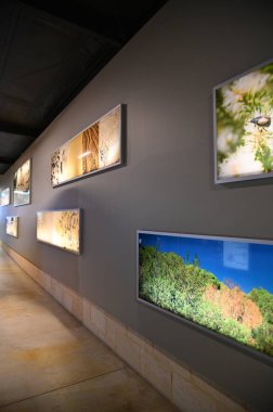 Nambung, Avustralya 2 Haziran 2025: Batı Avustralya 'nın Pinnacles Çölü