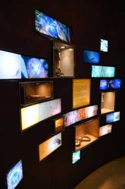 Nambung, Avustralya 2 Haziran 2025: Batı Avustralya 'nın Pinnacles Çölü