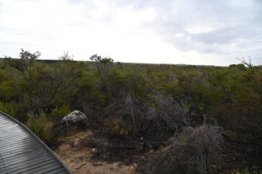 Nambung, Avustralya 2 Haziran 2025: Batı Avustralya 'nın Pinnacles Çölü