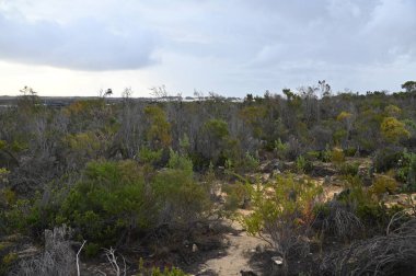 Nambung, Avustralya 2 Haziran 2025: Batı Avustralya 'nın Pinnacles Çölü