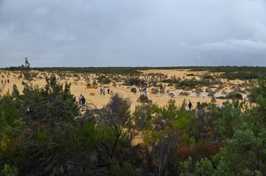 Nambung, Avustralya 2 Haziran 2025: Batı Avustralya 'nın Pinnacles Çölü