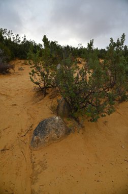 Nambung, Avustralya 2 Haziran 2025: Batı Avustralya 'nın Pinnacles Çölü