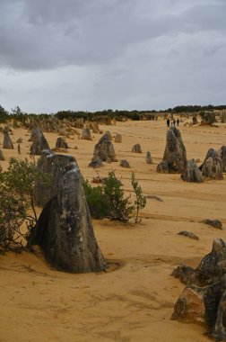 Nambung, Avustralya 2 Haziran 2025: Batı Avustralya 'nın Pinnacles Çölü