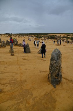 Nambung, Avustralya 2 Haziran 2025: Batı Avustralya 'nın Pinnacles Çölü