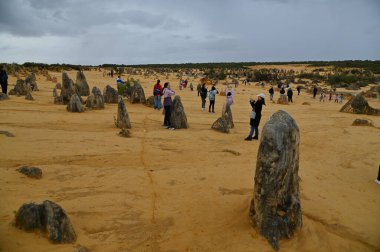 Nambung, Avustralya 2 Haziran 2025: Batı Avustralya 'nın Pinnacles Çölü