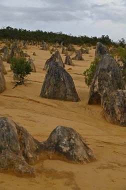 Nambung, Avustralya 2 Haziran 2025: Batı Avustralya 'nın Pinnacles Çölü
