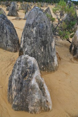Nambung, Avustralya 2 Haziran 2025: Batı Avustralya 'nın Pinnacles Çölü