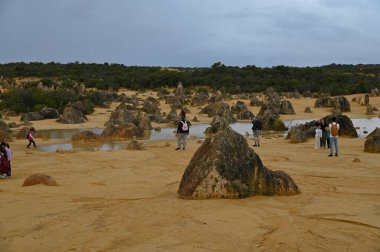 Nambung, Avustralya 2 Haziran 2025: Batı Avustralya 'nın Pinnacles Çölü