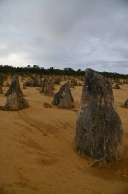Nambung, Avustralya 2 Haziran 2025: Batı Avustralya 'nın Pinnacles Çölü