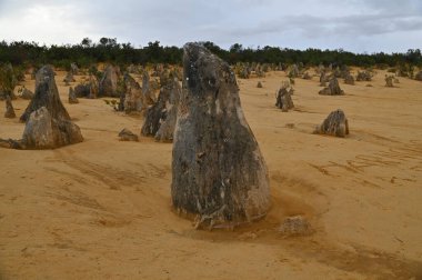 Nambung, Avustralya 2 Haziran 2025: Batı Avustralya 'nın Pinnacles Çölü