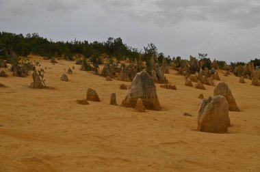 Nambung, Avustralya 2 Haziran 2025: Batı Avustralya 'nın Pinnacles Çölü