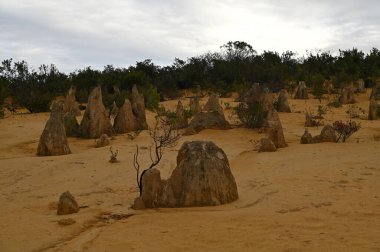 Nambung, Avustralya 2 Haziran 2025: Batı Avustralya 'nın Pinnacles Çölü