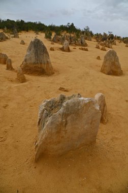 Nambung, Avustralya 2 Haziran 2025: Batı Avustralya 'nın Pinnacles Çölü