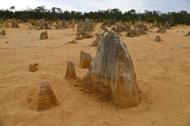 Nambung, Avustralya 2 Haziran 2025: Batı Avustralya 'nın Pinnacles Çölü