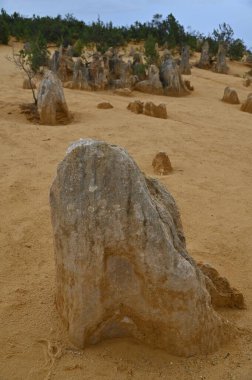 Nambung, Avustralya 2 Haziran 2025: Batı Avustralya 'nın Pinnacles Çölü