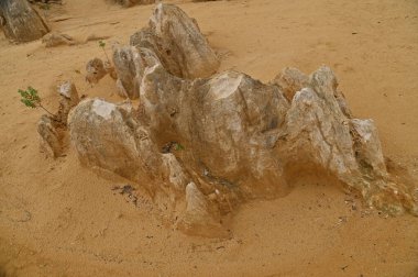 Nambung, Avustralya 2 Haziran 2025: Batı Avustralya 'nın Pinnacles Çölü