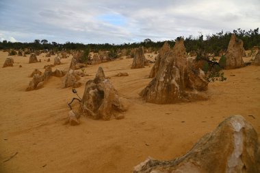 Nambung, Avustralya 2 Haziran 2025: Batı Avustralya 'nın Pinnacles Çölü