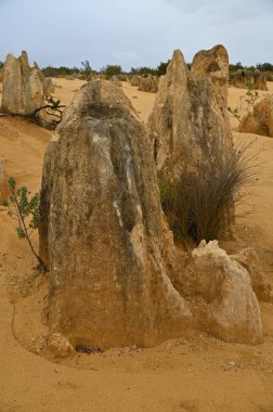 Nambung, Avustralya 2 Haziran 2025: Batı Avustralya 'nın Pinnacles Çölü