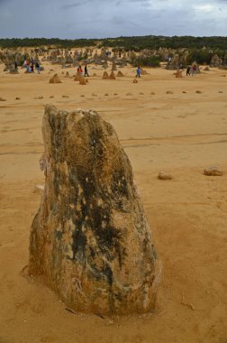 Nambung, Avustralya 2 Haziran 2025: Batı Avustralya 'nın Pinnacles Çölü
