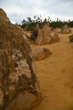 Nambung, Avustralya 2 Haziran 2025: Batı Avustralya 'nın Pinnacles Çölü