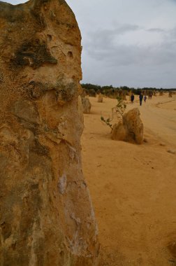 Nambung, Avustralya 2 Haziran 2025: Batı Avustralya 'nın Pinnacles Çölü