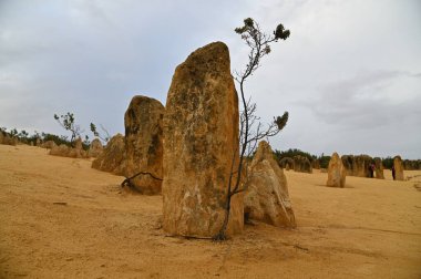 Nambung, Avustralya 2 Haziran 2025: Batı Avustralya 'nın Pinnacles Çölü