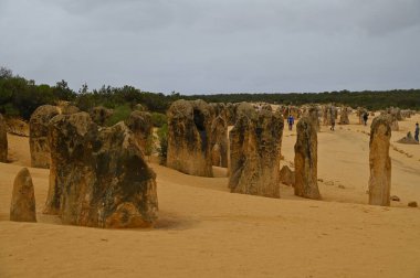 Nambung, Avustralya 2 Haziran 2025: Batı Avustralya 'nın Pinnacles Çölü