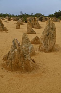Nambung, Avustralya 2 Haziran 2025: Batı Avustralya 'nın Pinnacles Çölü
