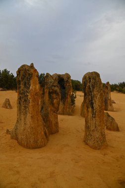 Nambung, Avustralya 2 Haziran 2025: Batı Avustralya 'nın Pinnacles Çölü