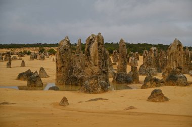 Nambung, Avustralya 2 Haziran 2025: Batı Avustralya 'nın Pinnacles Çölü
