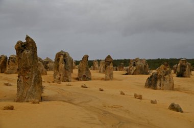 Nambung, Avustralya 2 Haziran 2025: Batı Avustralya 'nın Pinnacles Çölü