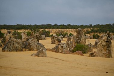 Nambung, Avustralya 2 Haziran 2025: Batı Avustralya 'nın Pinnacles Çölü