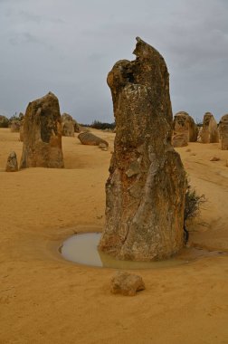Nambung, Avustralya 2 Haziran 2025: Batı Avustralya 'nın Pinnacles Çölü